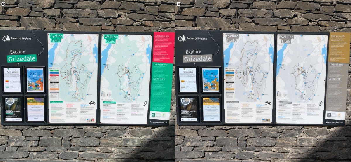 Happy to report that @ForestryEngland will be updating all of their trail maps and signage which are currently inaccessible to colourblind users #1in12men #1in200women #inclusion @colourblindorg