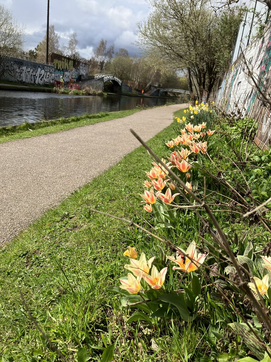 Elizabeth Thomson (@lizey13) on Twitter photo I really had to force myself to go by cycle/train to Walsall this morning but then I got to see these wonderful tulips on my way home <a href="/CRTWestMidlands/">Canal & River Trust West Midlands</a> & moving closer to ditching the car forever 🌸 I really had to force myself to go by cycle/train to Walsall this morning but then I got to see these wonderful tulips on my way home <a href="/CRTWestMidlands/">Canal & River Trust West Midlands</a> & moving closer to ditching the car forever 🌸