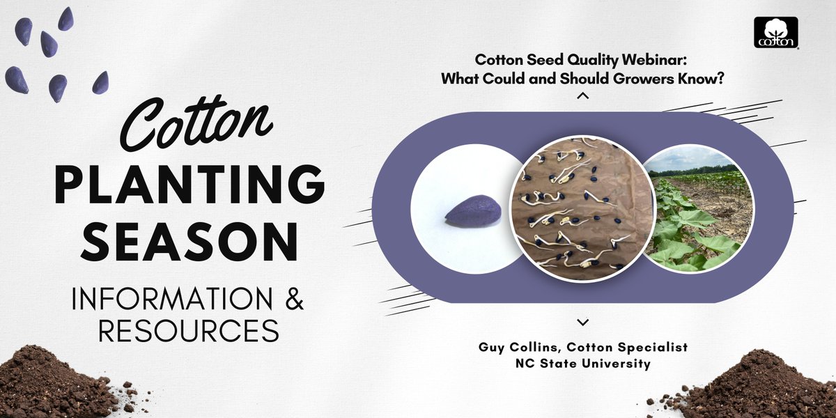Cotton seed quality influences stand establishment, seedling vigor, plant growth throughout the season, and potential yield. This webinar discusses current research on cotton seed quality and tools growers can use to assist in planting decisions.​​ ow.ly/sx5r50NyR76