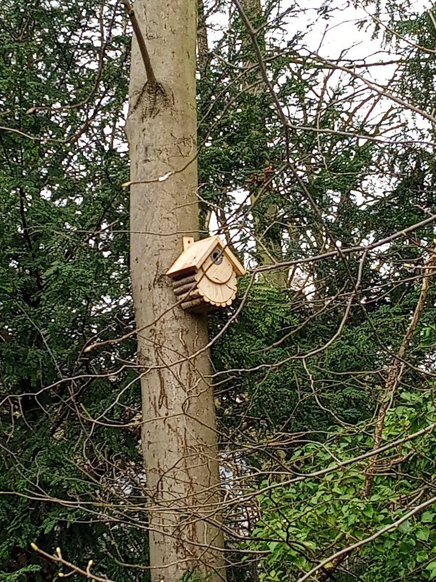 10 new bird boxes have been installed across Green Walk and Stile Plantations.  
Thanks go to Shire Trees who put them up for free as a contribution to the community.
