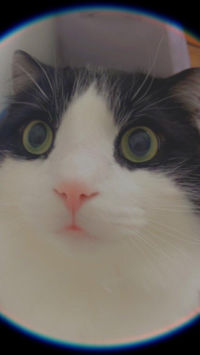 EarthToLilly's tweet image. Bloop