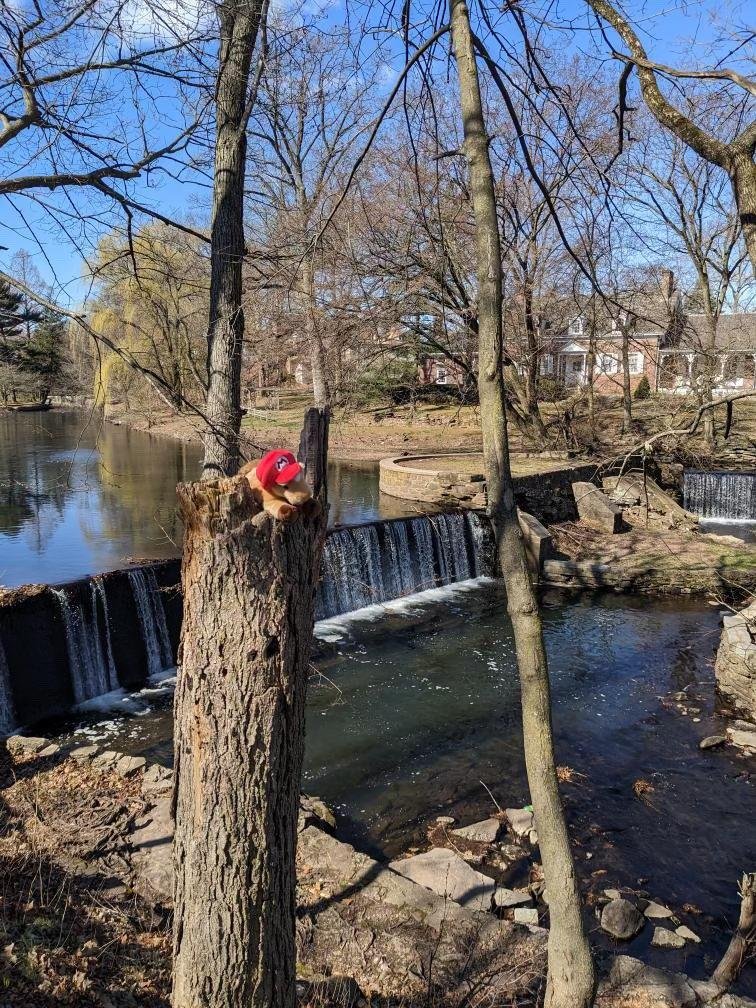 GamerSymphony's tweet photo. Over spring break, Gsorse was hosted by Jackie from Choir! He went to Nintendo World, the New Jersey Institute of Technology, a bird reservation in Secaucus, and Kingsland Manor, an old speakeasy during Prohibition! Stay tuned for Gsorse’s next adventures with GSO members! 😊🫶 https://t.co/ezYhMxNZZl