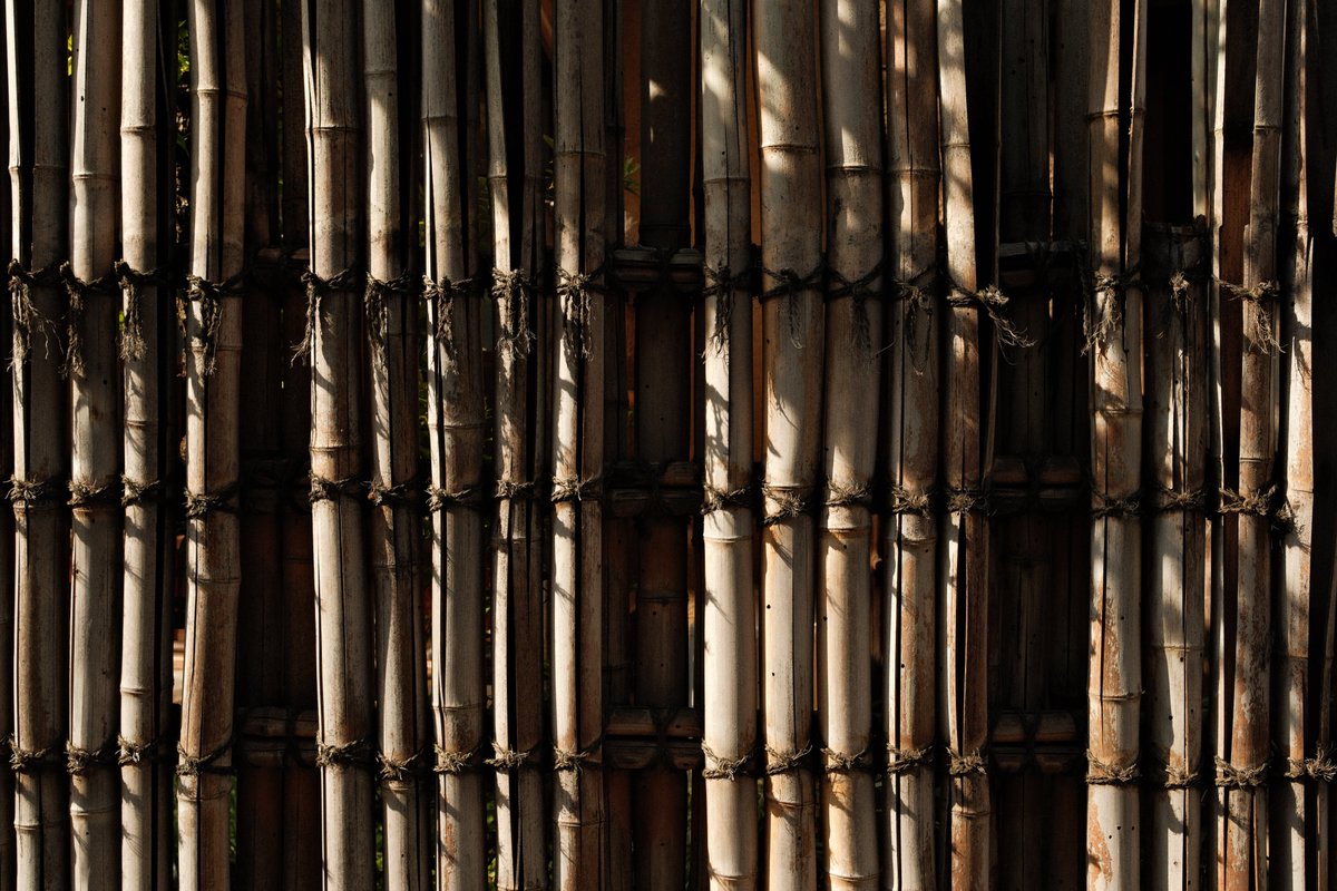 liojane33's tweet photo. Shadows
#snap #files #lifelapse https://t.co/QLDJzTmQLx