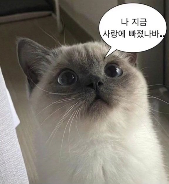 <a href="/LUN8_official/">LUN8 OFFICIAL</a> 은섭아..ㅜㅜ