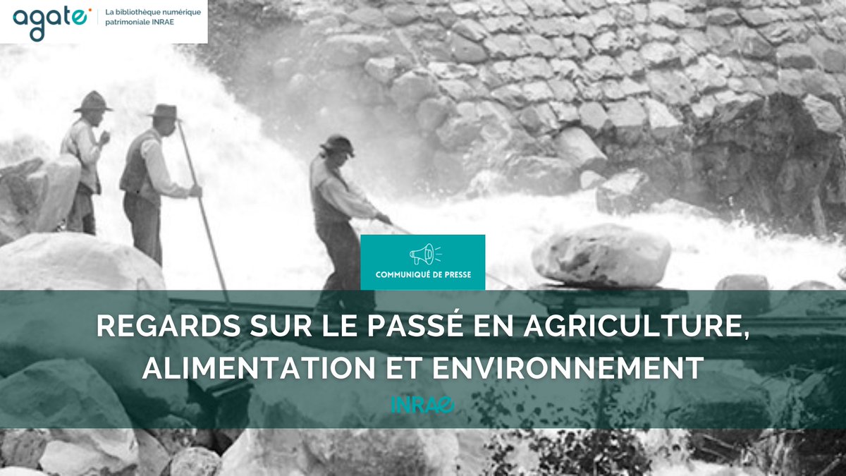 #RP_INRAE Lancement d’Agate, la bibliothèque numérique patrimoniale #INRAE avec <a href="/laBnF/">La Bibliothèque nationale de France</a> et <a href="/GallicaBnF/">Gallica BnF</a> 
 ➕de 400 documents &amp; 11 000 images
 🔎8 collections d’intérêt historique et scientifique en agriculture, botanique… 
 💻Accessible à tous &amp; gratuit
 ➡️url.inrae.fr/3Mn91C7