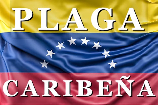 albertsanchezg1's tweet photo. @FRCentroNorte https://t.co/bItNGvbc9r