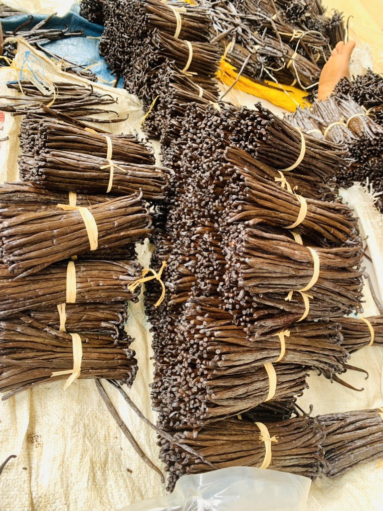 ProduitVanilleB's tweet photo. Bonjour 👋👋👋 Je vend des produits vanillé très parfumé et bio première qualité disponible à Madagascar 🇲🇬 et je fais l’exportation dans toutes les pays https://t.co/milPuQ9kTq