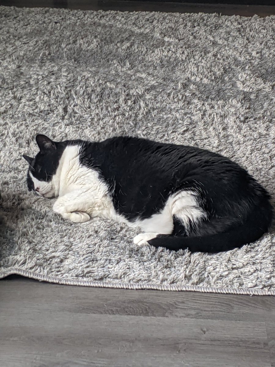 Stevied1114's tweet photo. Happy fake Friday (for me at least)! I'll be streaming POE league launch tomorrow and maybe more regularly after that as well 🙃 https://t.co/wGYjvTvuLh