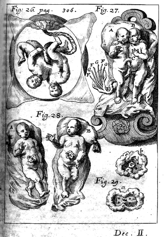 StoriaDellaMedicina tweet media