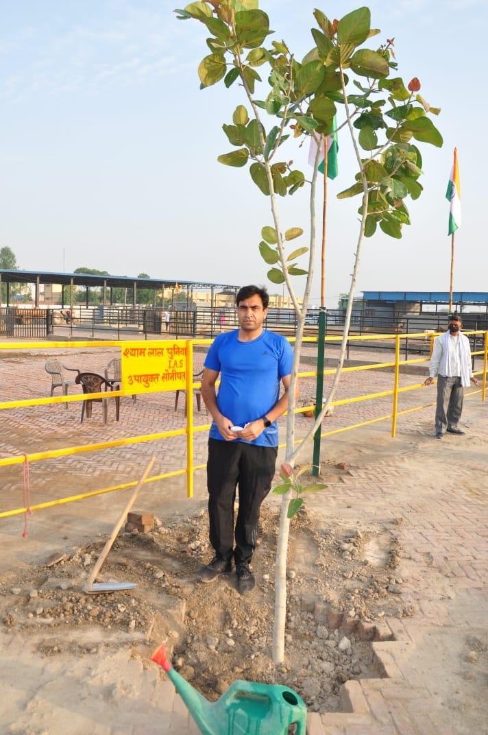 Tree Man Devender Sura tweet media
