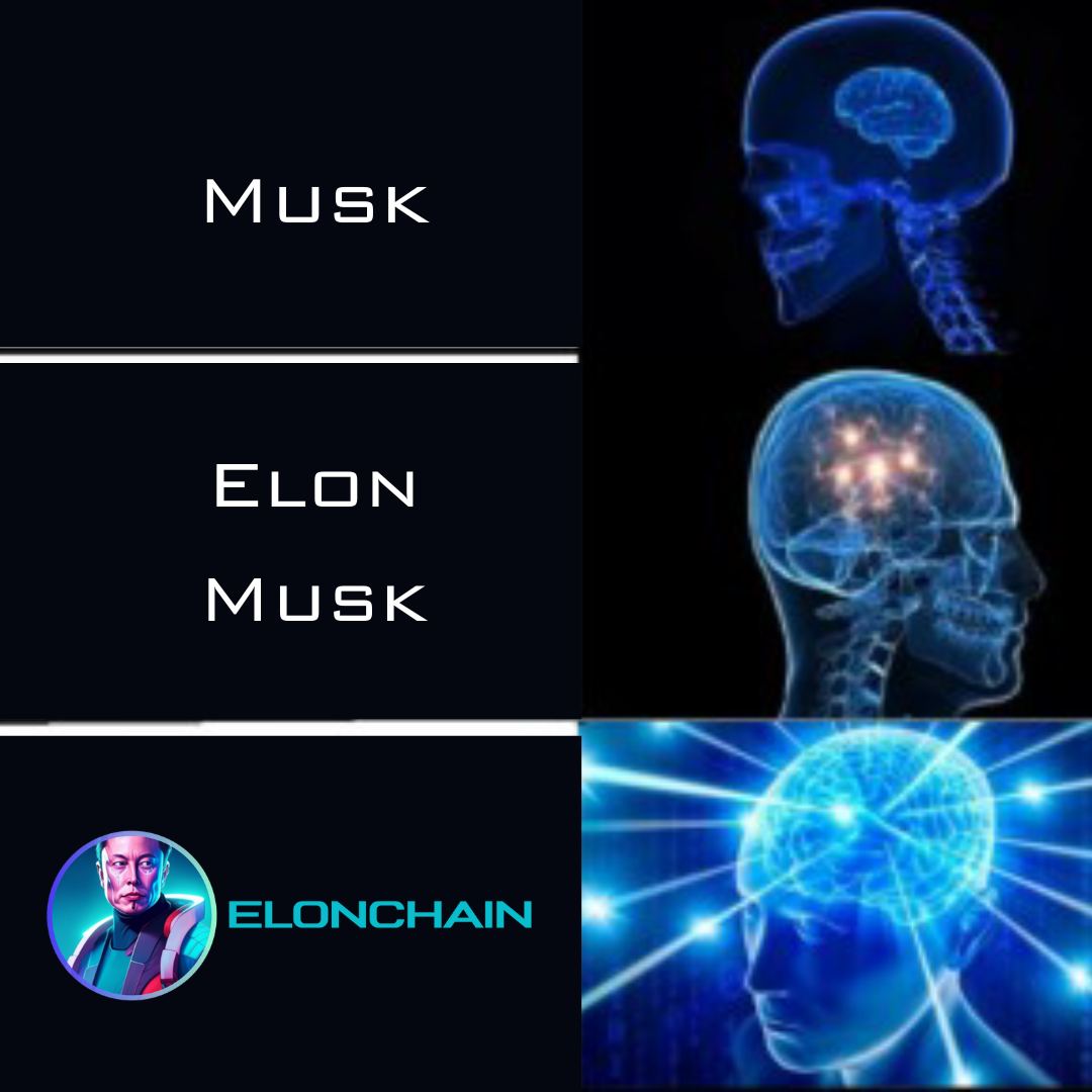 ElonChain_'s tweet photo. @realdogen Hey @realdogen have you heard about #ELONCHAIN YET? https://t.co/bRdqgIXlos
