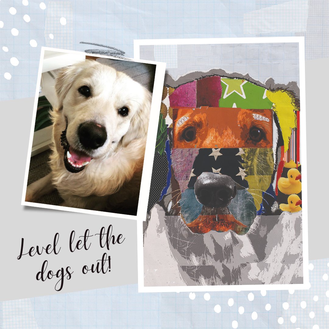 nationalwall's tweet image. Introducing a customizable collection of pooches, digitally printed on your choice of base goods. Our office dog, Bode, makes no bones about his favorite design – what’s yours?

#levelletthedogsout #findyourlevel #nationalhasthesolutions