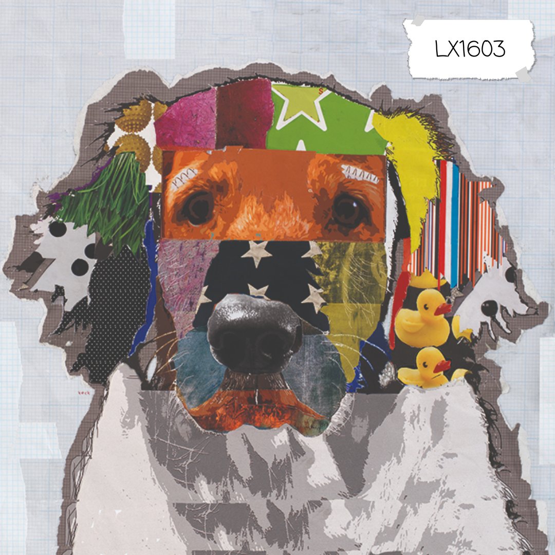 nationalwall's tweet image. Introducing a customizable collection of pooches, digitally printed on your choice of base goods. Our office dog, Bode, makes no bones about his favorite design – what’s yours?

#levelletthedogsout #findyourlevel #nationalhasthesolutions