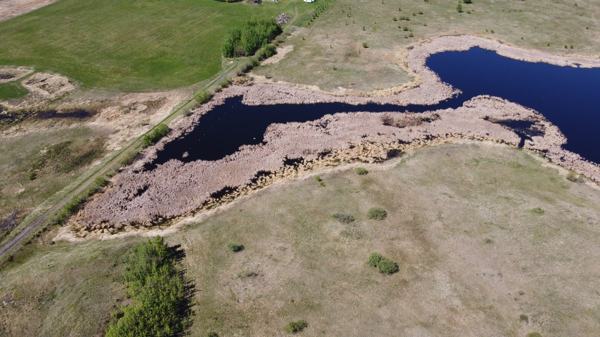 The Landowner Guide to the Alberta Wetland Policy helps landowners understand their rights and responsibilities when working in and around wetlands on their farm or ranch under Alberta’s Wetland Policy. 
To download a PDF version of the Guide head to buff.ly/3ZN5P5T