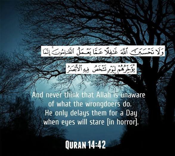 Princess1khushi's tweet photo. Two strong verses from Quran for every hardship/tests await reward for patient ones ❤️

Never think Allah is unaware of evil doers he only delays for them Day of Judgment to face wrath of Allah 🤲

#islamreminder #Ramadan #SubhanAllah https://t.co/dxftunc5Ey