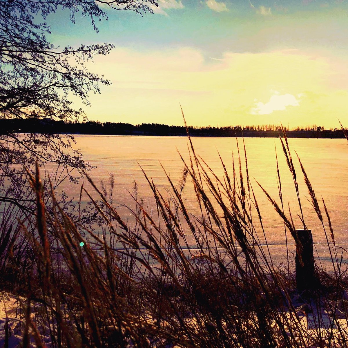 Iloa ja valoa pääsiäiseen tutkitusti toimivista tavoista lisätä mielihyvähormonien tuotantoa:
1. Halaa
2. Hymyile
3. Silitä lemmikkiä
4. Kuuntele mielimusiikkiasi
5. Lue hyvää kirjaa
6. Liiku luonnossa
7. Syö herkullista ruokaa
8. Tee hyvää toisille
9. Ole kiitollinen elämästä!