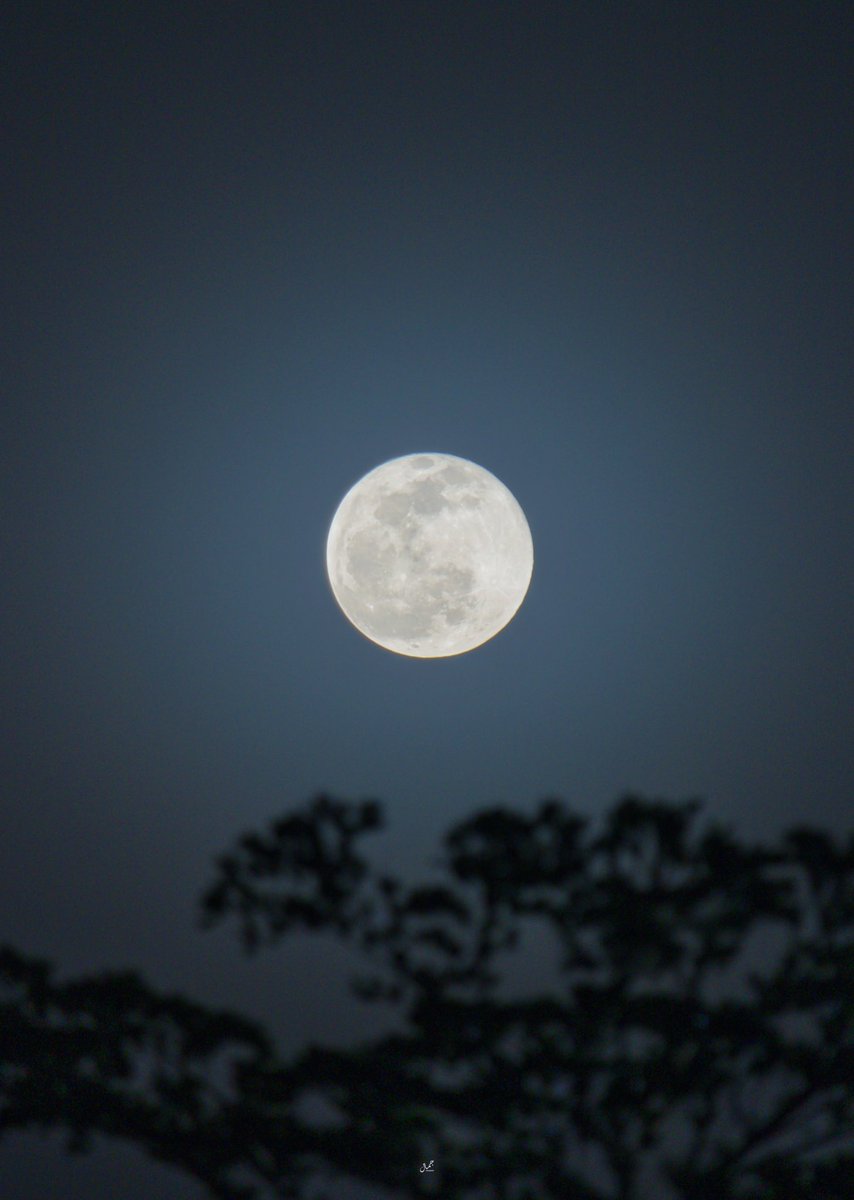 asstheticssss's tweet photo. The moon today 🌙 https://t.co/Sb7i5qygGa