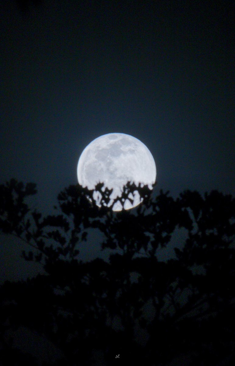 asstheticssss's tweet photo. The moon today 🌙 https://t.co/Sb7i5qygGa