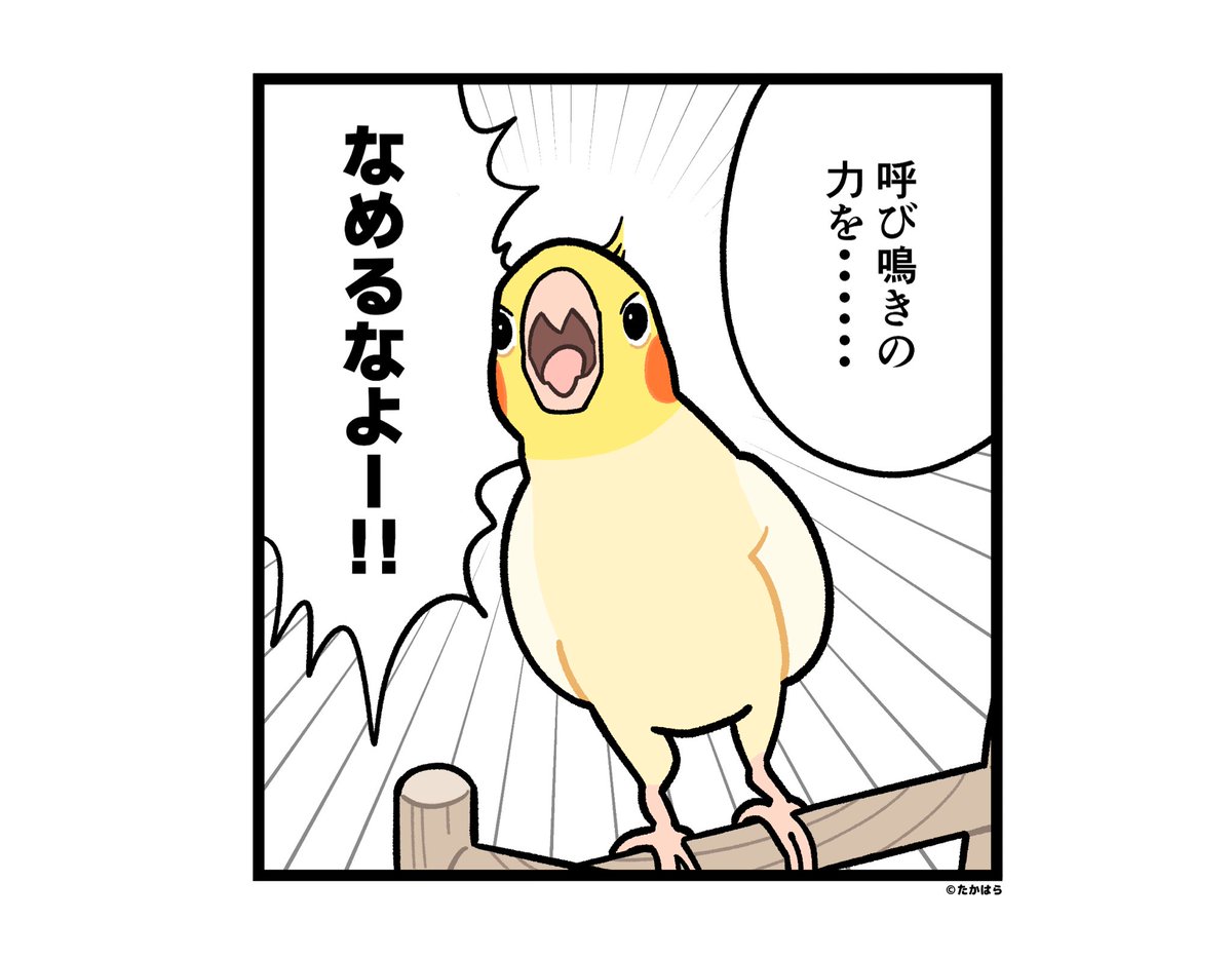 逃さんぞ、飼い主 