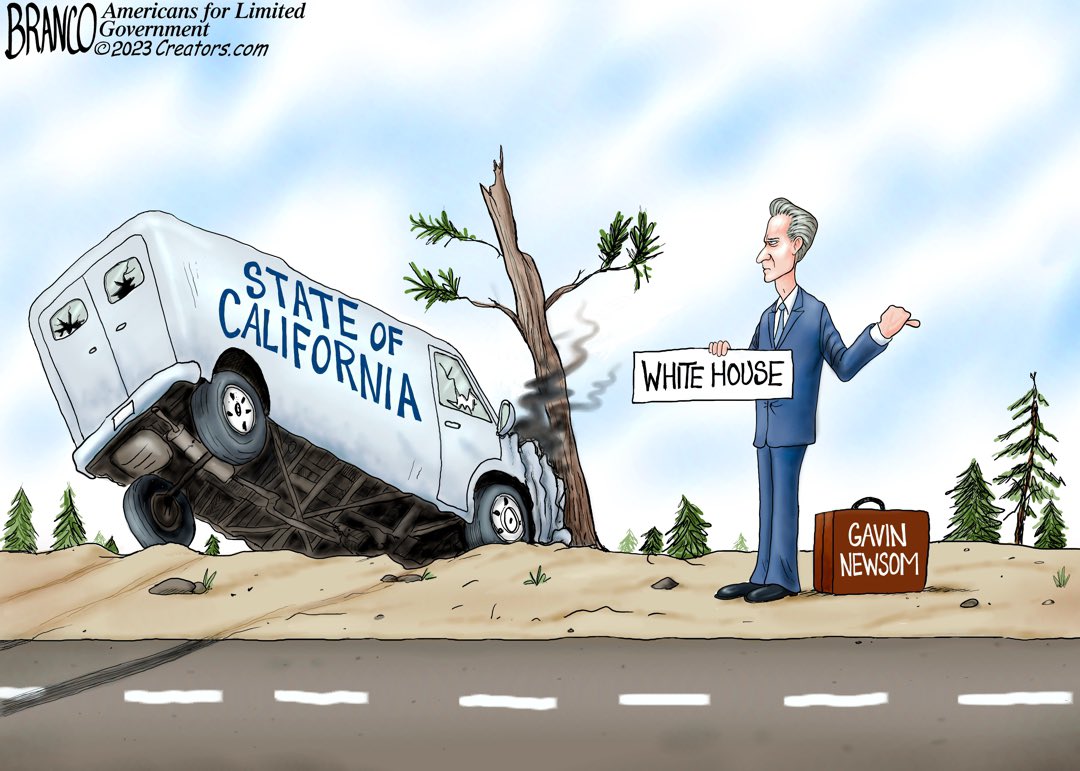 Larry Elder tweet media