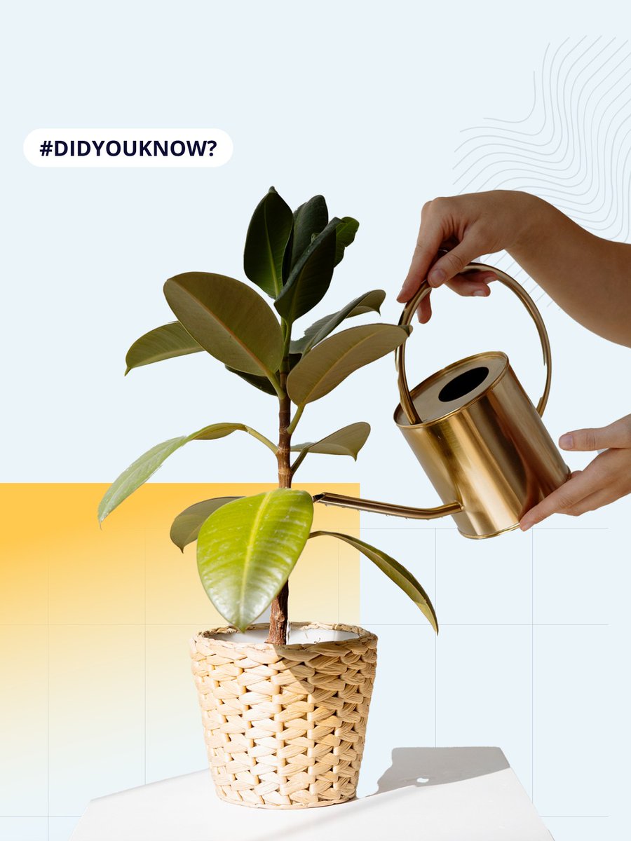 🤝  Trust and transparency are critical to fractional ownership success.

By prioritizing these values, fractional ownership platforms can create a more favorable environment for growth and innovation in the industry. 🔑

reitium.com

#fractionalownership #realestate