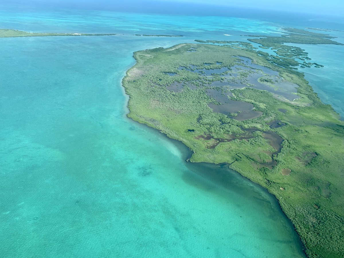 UKScottFW's tweet photo. Seeing is Belizing!

#BeautifulBelize https://t.co/joekATtx3r