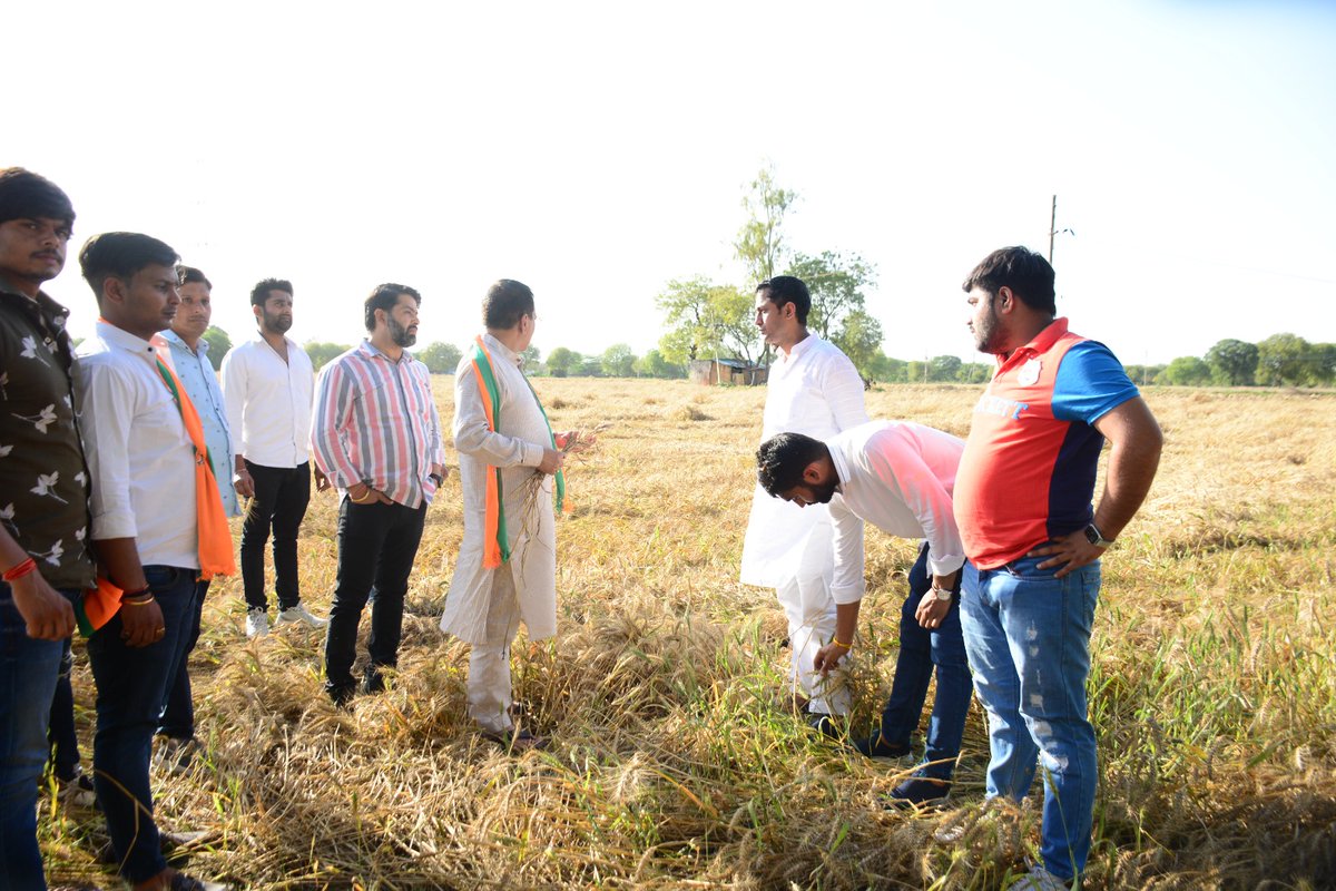 Virendraa Sachdeva tweet media