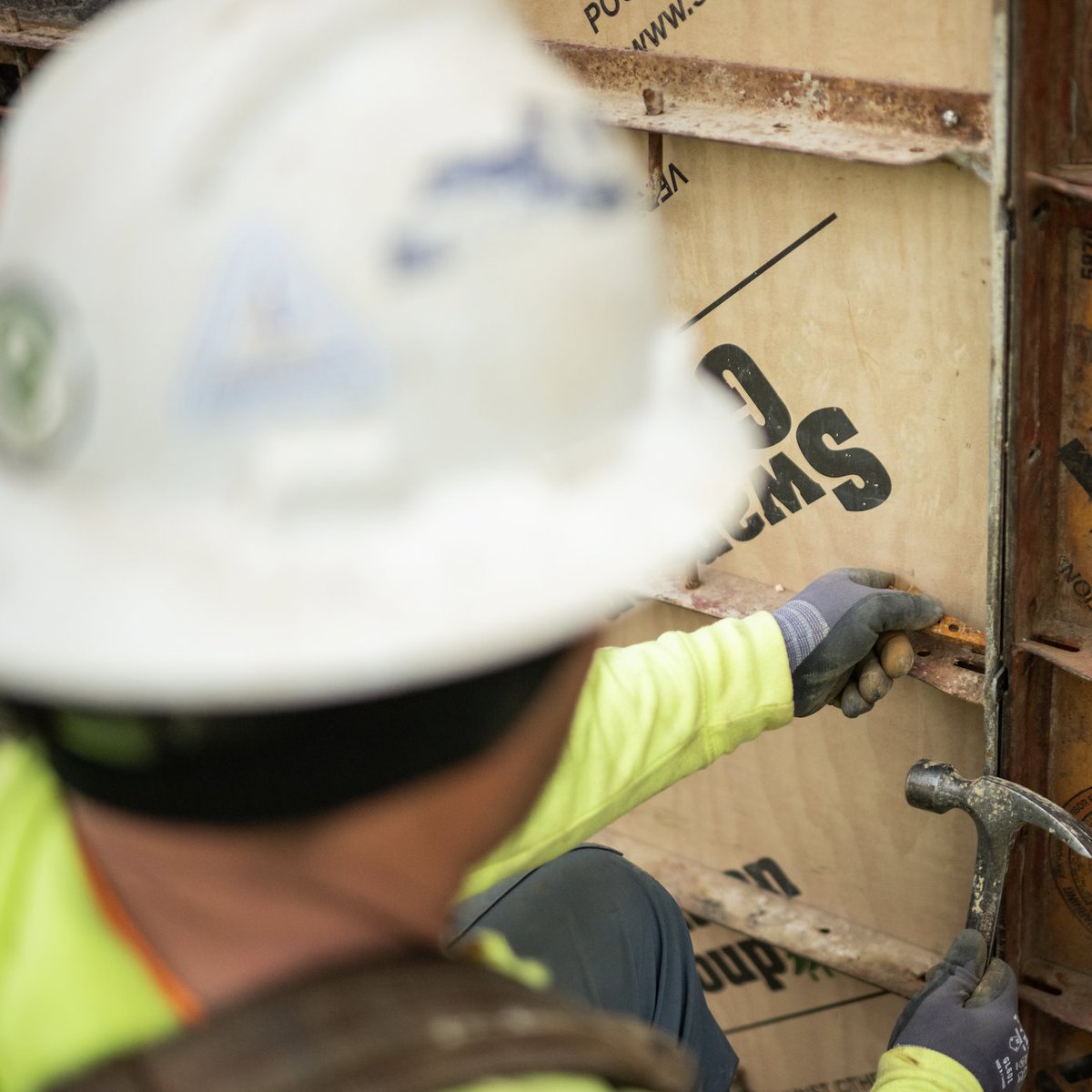 EastWestbrook's tweet image. Choose a contracting team who will follow through on providing high-quality service to your intricate projects, down to every detail.

Choose a team you can trust: eastandwestbrook.com/project-bids/

#ConstructionTeam #IndustrialConstruction #StructuralConcrete