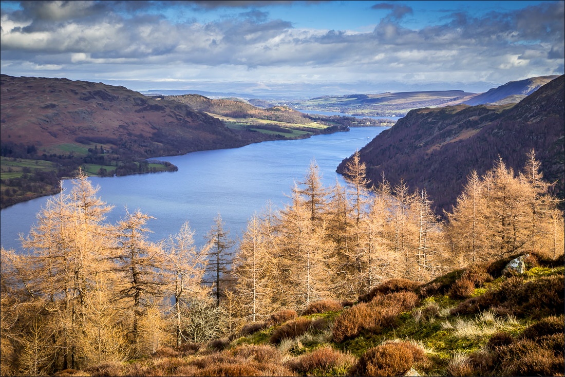 Andrew Locking on Twitter "20 in a selection of the Lake District