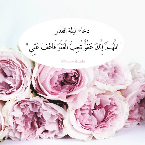 نورٌ وهدى tweet media