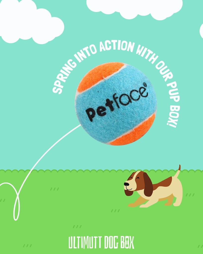 The best box for spring time!

As we approach longer evenings and warmer weather, nothing beats playing with your pup in the sun! ☀️🐶

Play fetch in style, with our pup box 😁

#ultimutt #dogsubcription #puppy #puppyofinstagram #fetch