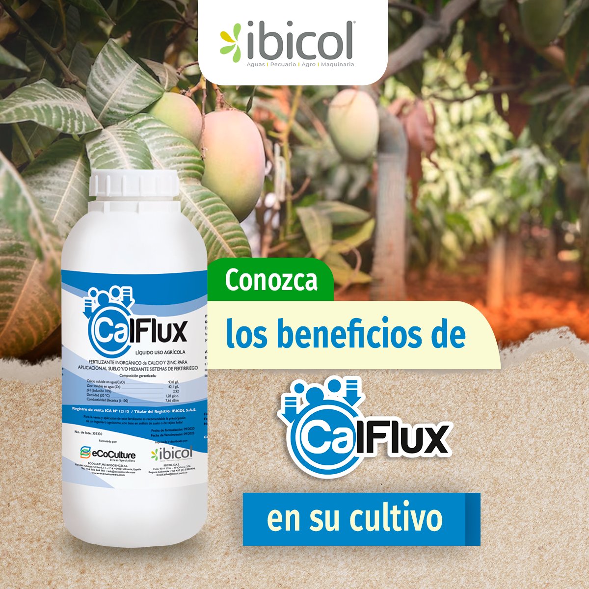 insumosibicol's tweet photo. CalFlux es un producto innovador que ha sido diseñado para mejorar la firmeza, calidad y vida útil de la fruta.
Compre nuestros productos en https://t.co/CkY4RsMSKX
#Ibicol #Frutas #Agricultura #Agrocolombiano #Culturaagrícola #CalFlux #ecoculture #Cultivo https://t.co/OMte9MUa4R