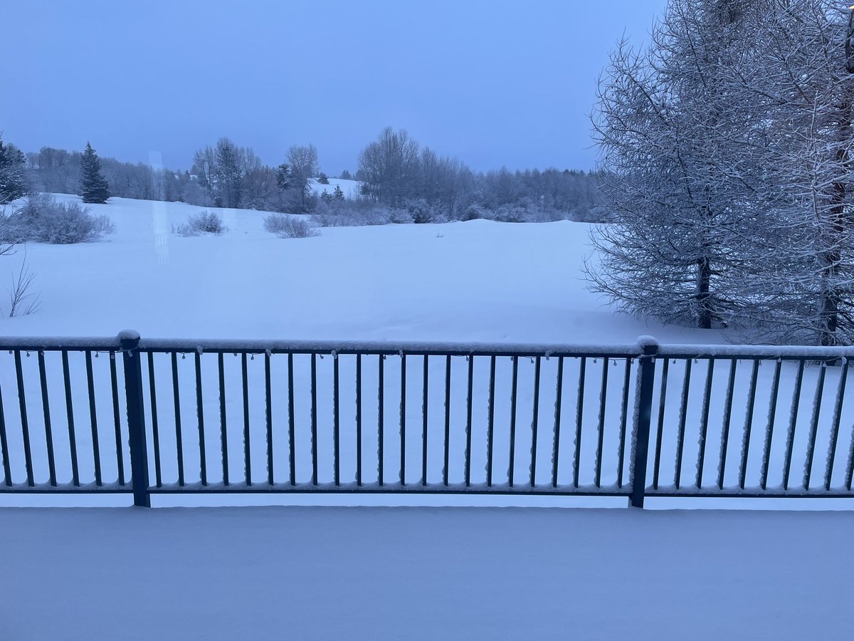 tmacgree10's tweet photo. @TheTree This is my yard two days ago. Haven’t seen the grass since Halloween. https://t.co/nzoU3ZHGoV