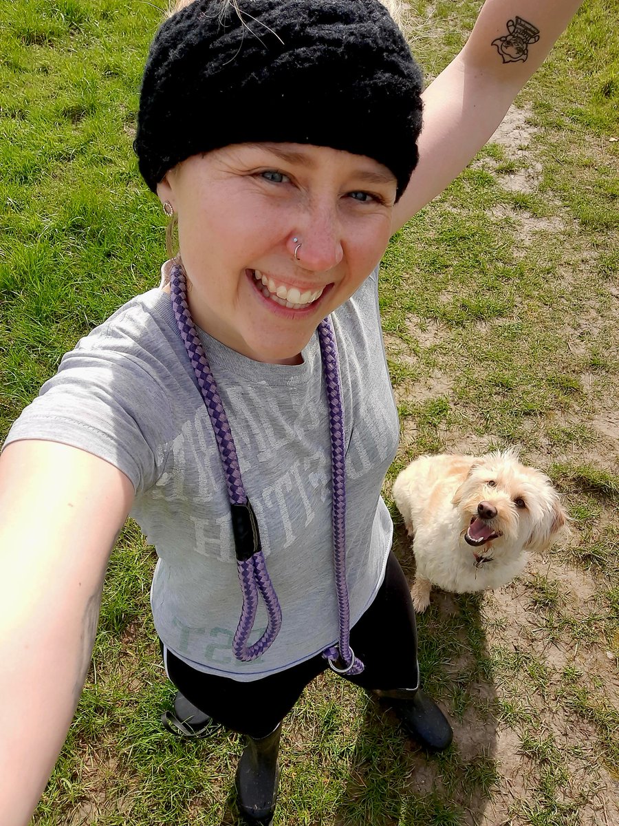 Katie's Paws and Chores tweet media