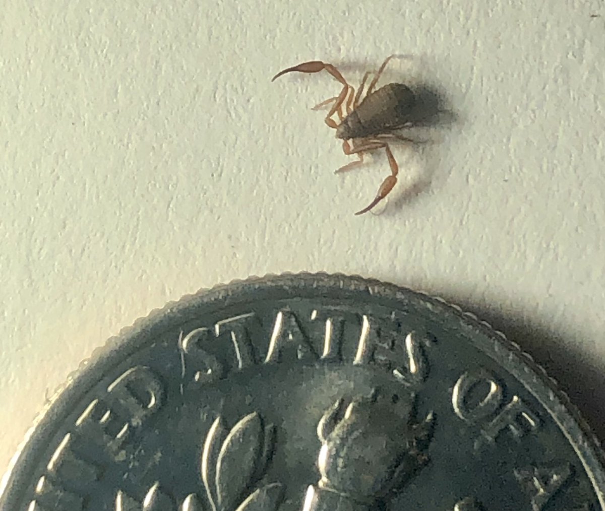 Charles B. van Rees tweet media