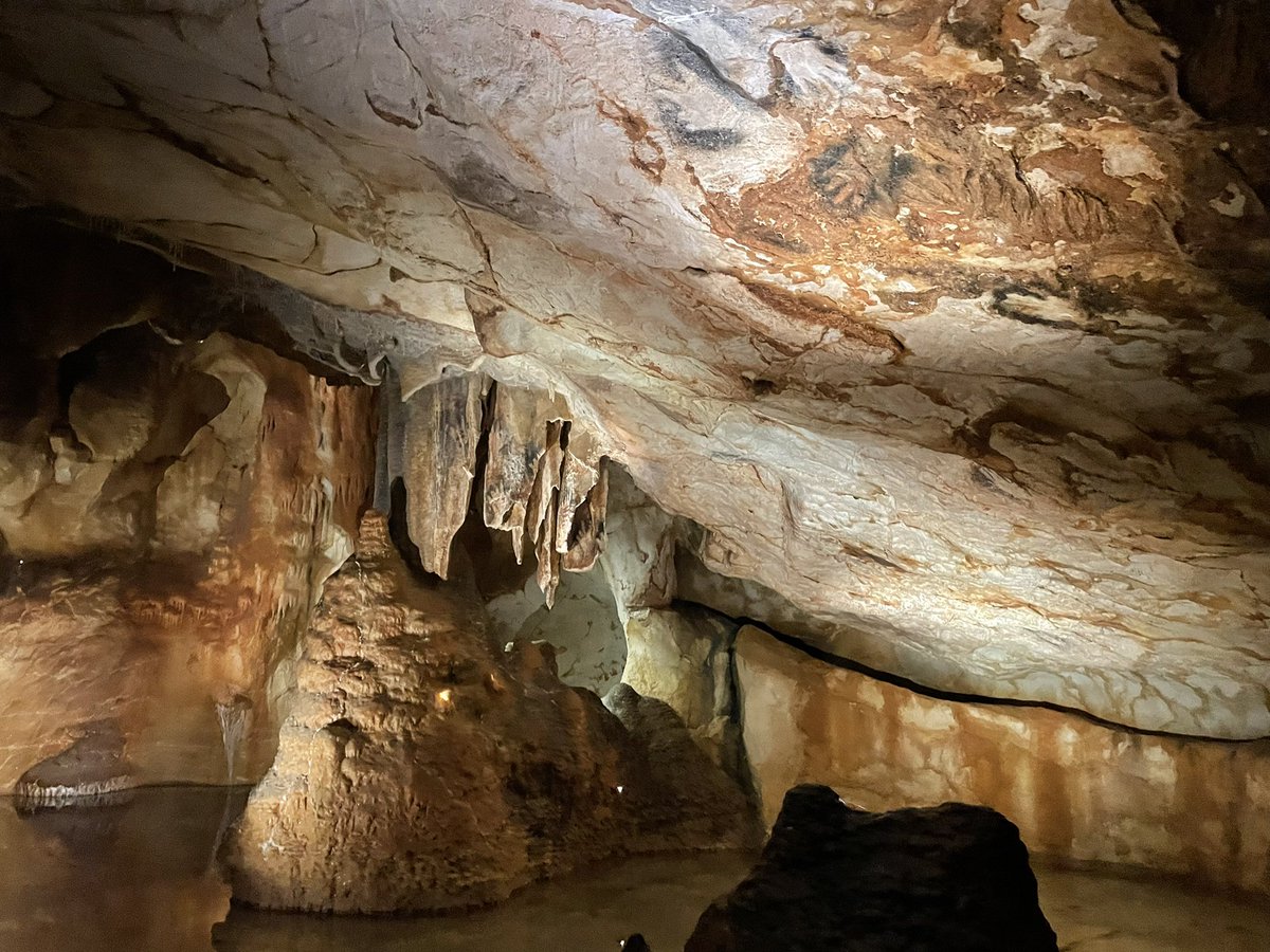 magdaboudagher's tweet photo. Des pingouins en Méditerranée ? Dessinés sur les parois d’une grotte dont l’entrée est à 37m sous l’eau? 🤔 
1/4 https://t.co/ksIrNWNzZ2