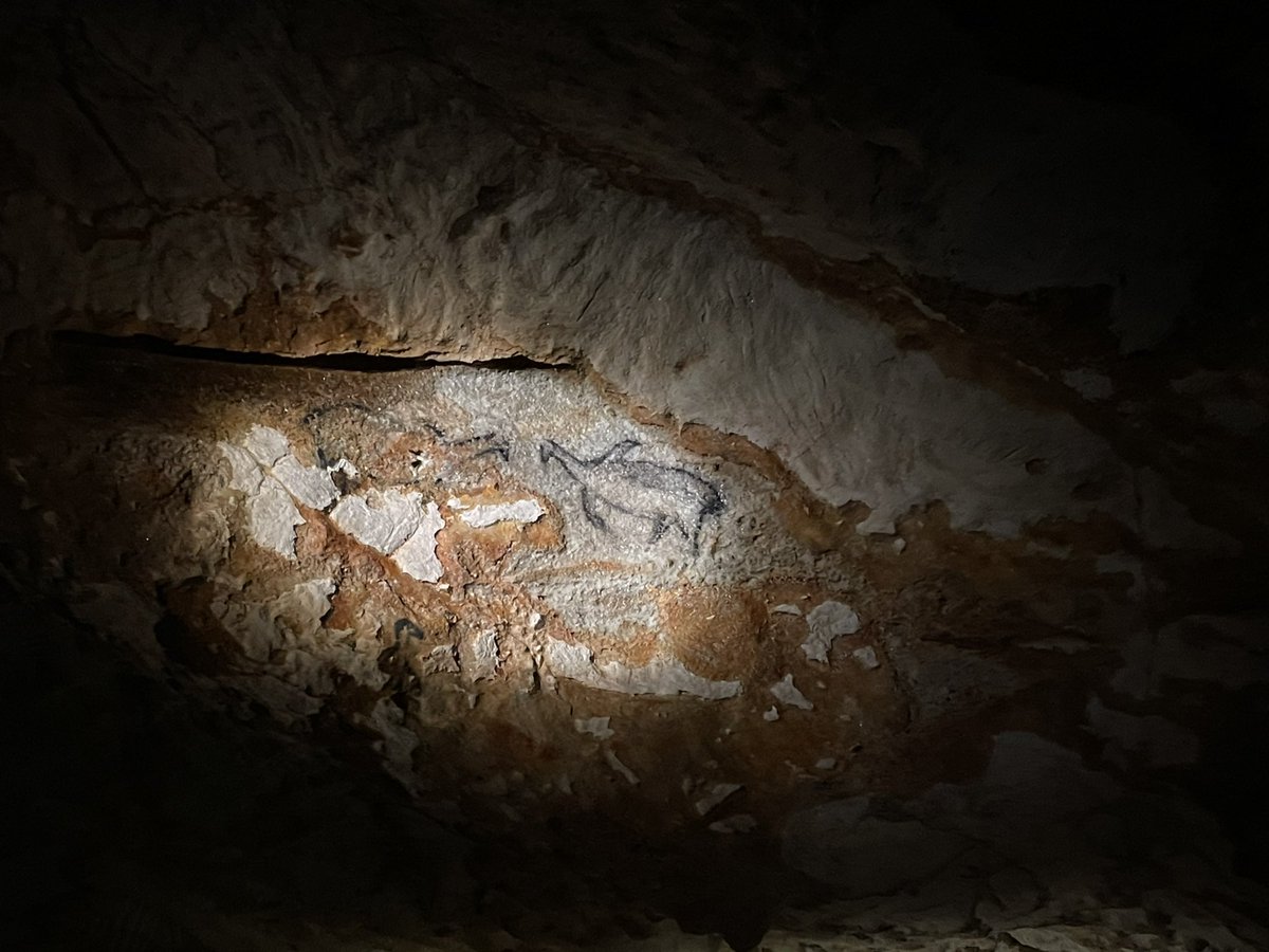 magdaboudagher's tweet photo. Des pingouins en Méditerranée ? Dessinés sur les parois d’une grotte dont l’entrée est à 37m sous l’eau? 🤔 
1/4 https://t.co/ksIrNWNzZ2