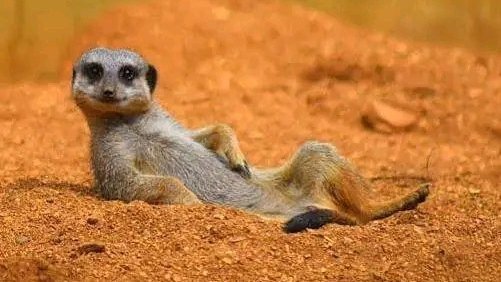 Ndili pa phokoso, tiyankhulana bhobho Tuesday! 🫤