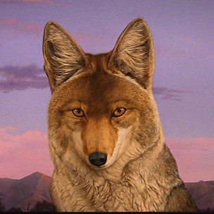 Albuquerque Museum tweet media