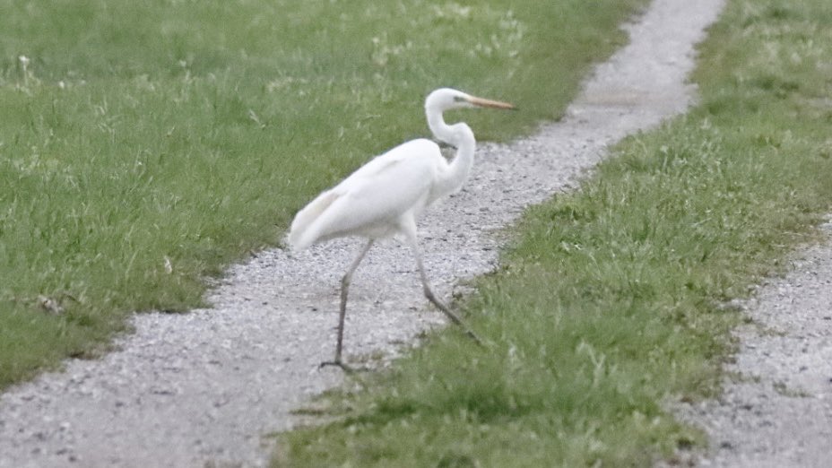 Es ist Frühling und das Leben erwacht wieder in schönster Art und Weise! 😍🥰😍