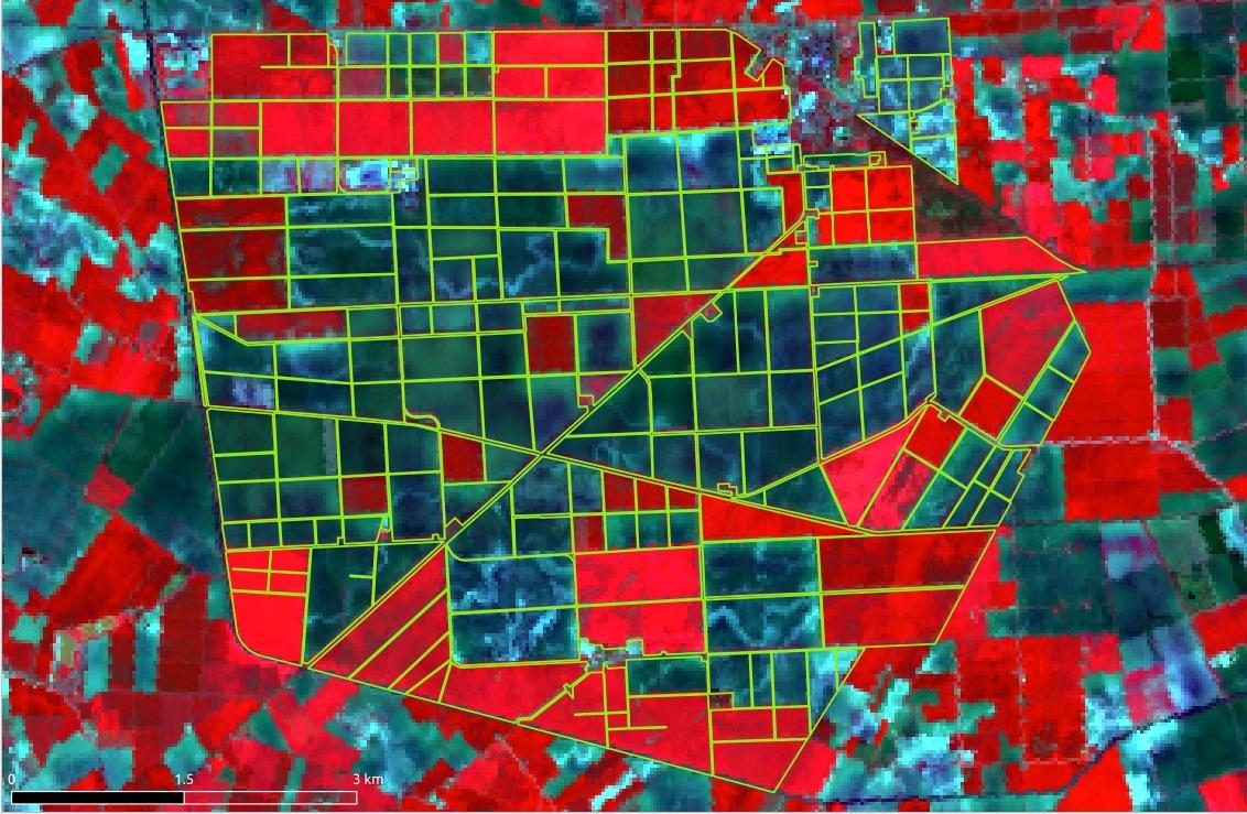 Mirco Boschetti tweet media