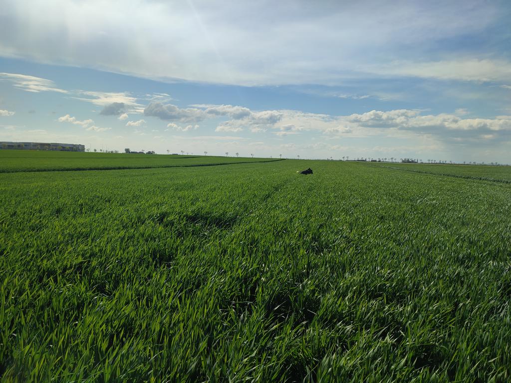 Mirco Boschetti tweet media