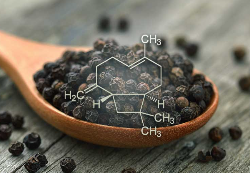 drkohilathas's tweet photo. β-Caryophyllene

A major constituent of cannabis and other herbs and spices with anti-inflammation, antioxidation, immunomodulation, anti-viral, cardioprotection, neuroprotection, kidney-protection, lung-protection, analgesic, and anti-cancer properties. 

A THREAD 🧵 https://t.co/5UCyIBdXGE