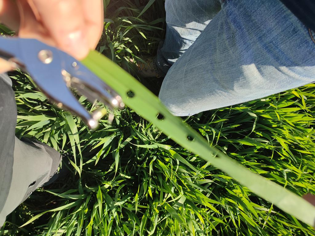 Mirco Boschetti tweet media