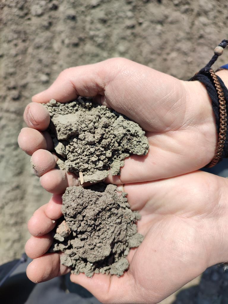 Mirco Boschetti tweet media