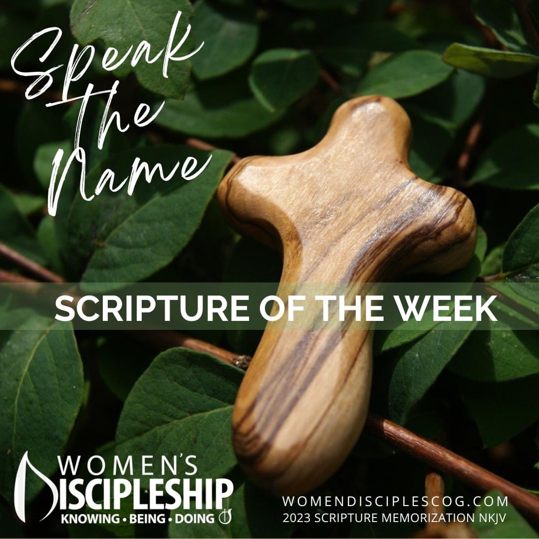 WomenofPowerCOG's tweet photo. SCRIPTURE OF THE WEEK
SPEAK THE NAME: REDEEMER

Ephesians 1:7 NKJV

In Him we have redemption through His blood, the forgiveness of sins, according to the riches of His grace

URL: https://t.co/QGg5O56tit https://t.co/EzVxObPOy2
