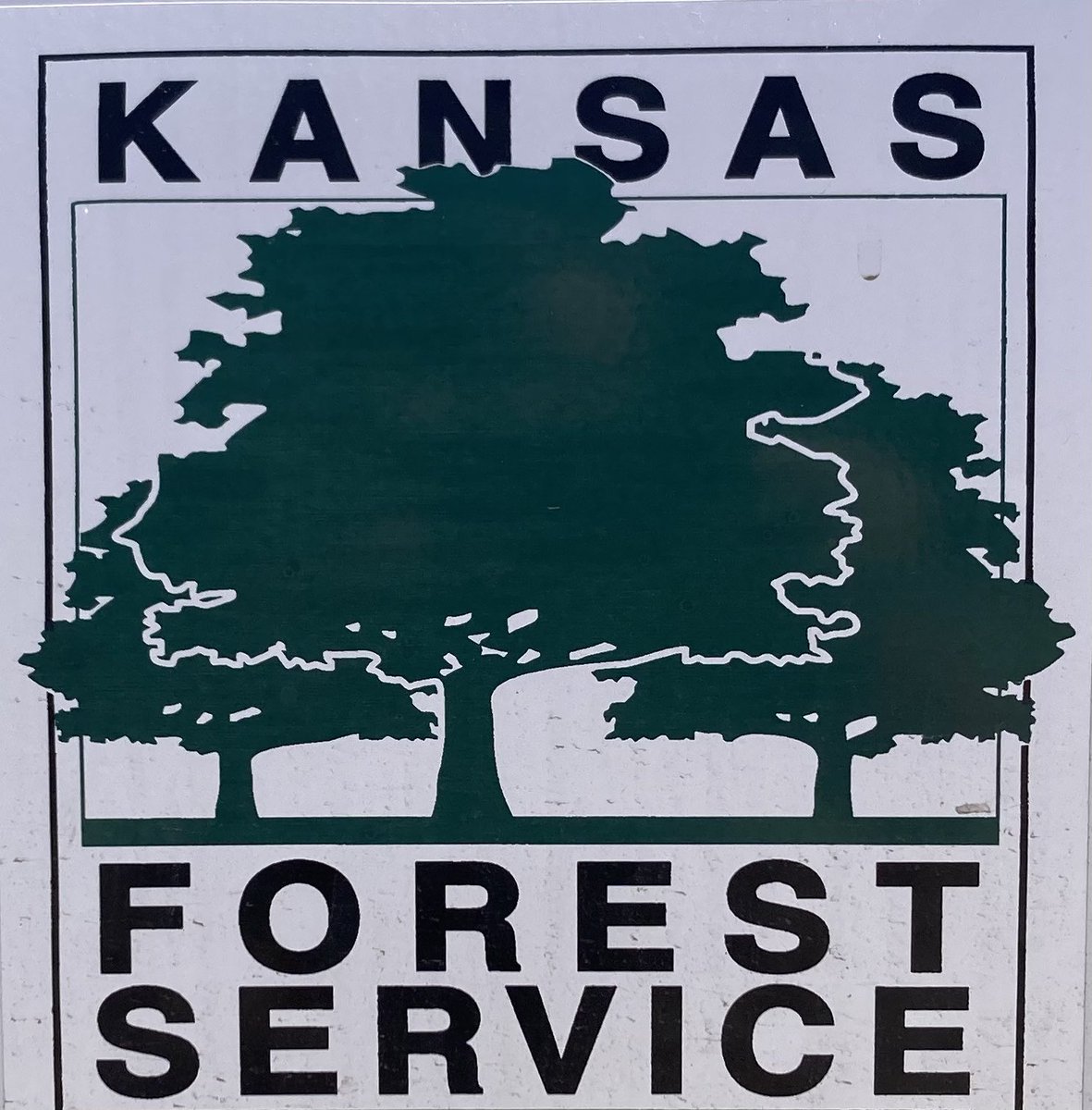 Met today with fellow #Treehuggers Tyler @lawrenceks and Kim @KSForestService. These tree experts are a great asset to our KU campus trees. Thanks! @UnivOfKansas #KUlovesTrees