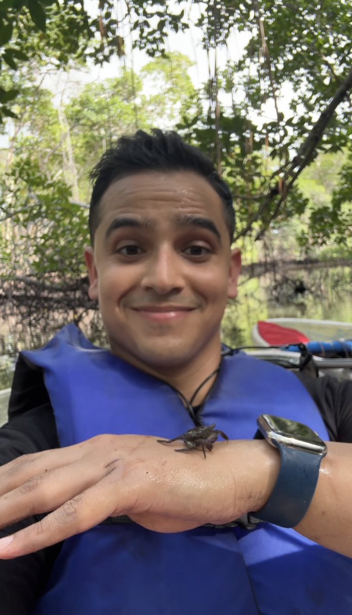 Alejandro Alba tweet media