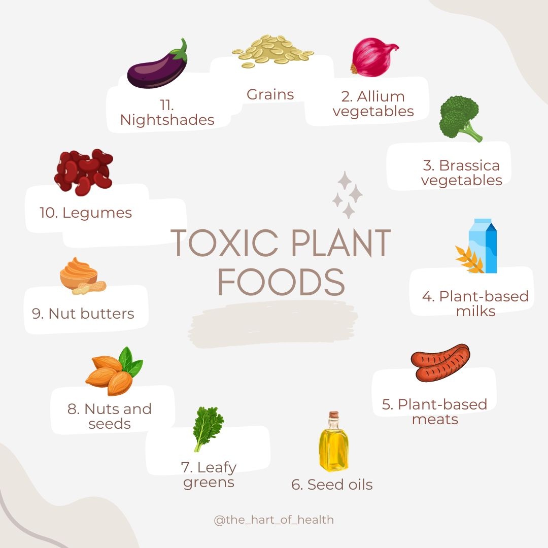 The most toxic plant foods you should ideally cut from your diet. 

#animalbased #animalbaseddiet 
 #carnivoretribe
 #ancestraldiet #plantfoods #planttoxins #plantbased #vegetables #eliminationdiet