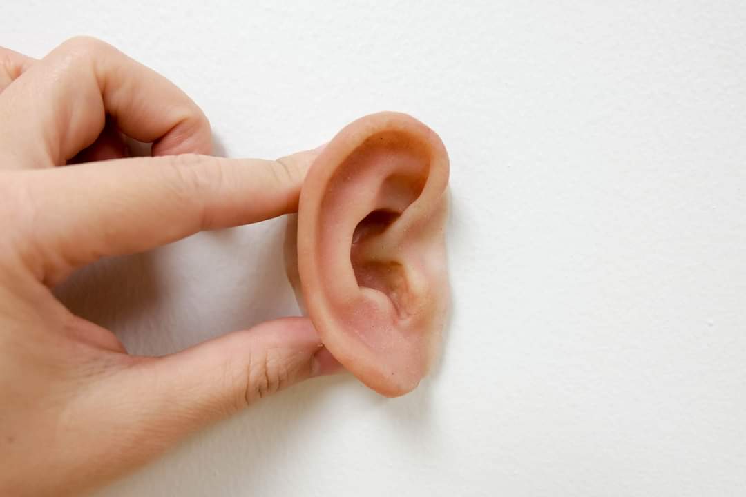 SEEprosthetics's tweet photo. Reconstruction of many structures lost due to cancer, trauma or congenital deformity are possible with custom silicone prostheses! Check out our full list of services: https://t.co/h3kLIE6DWs
#Reconstruction #ears #eyes #nose #face #cancerawareness #disabilityawareness #Cancer https://t.co/jjT4TSDNiY